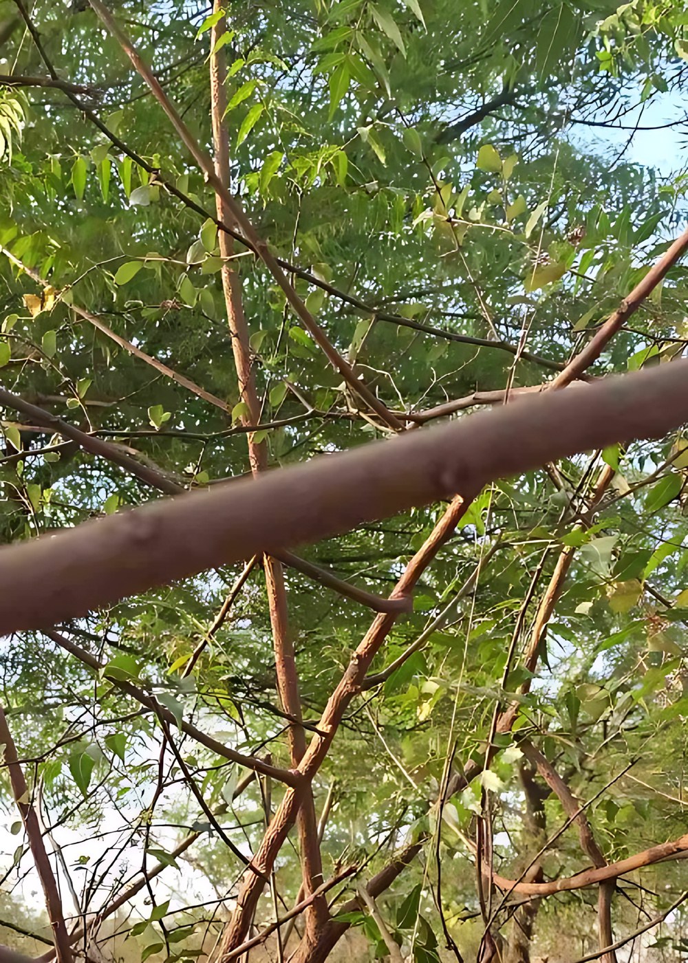 2874580