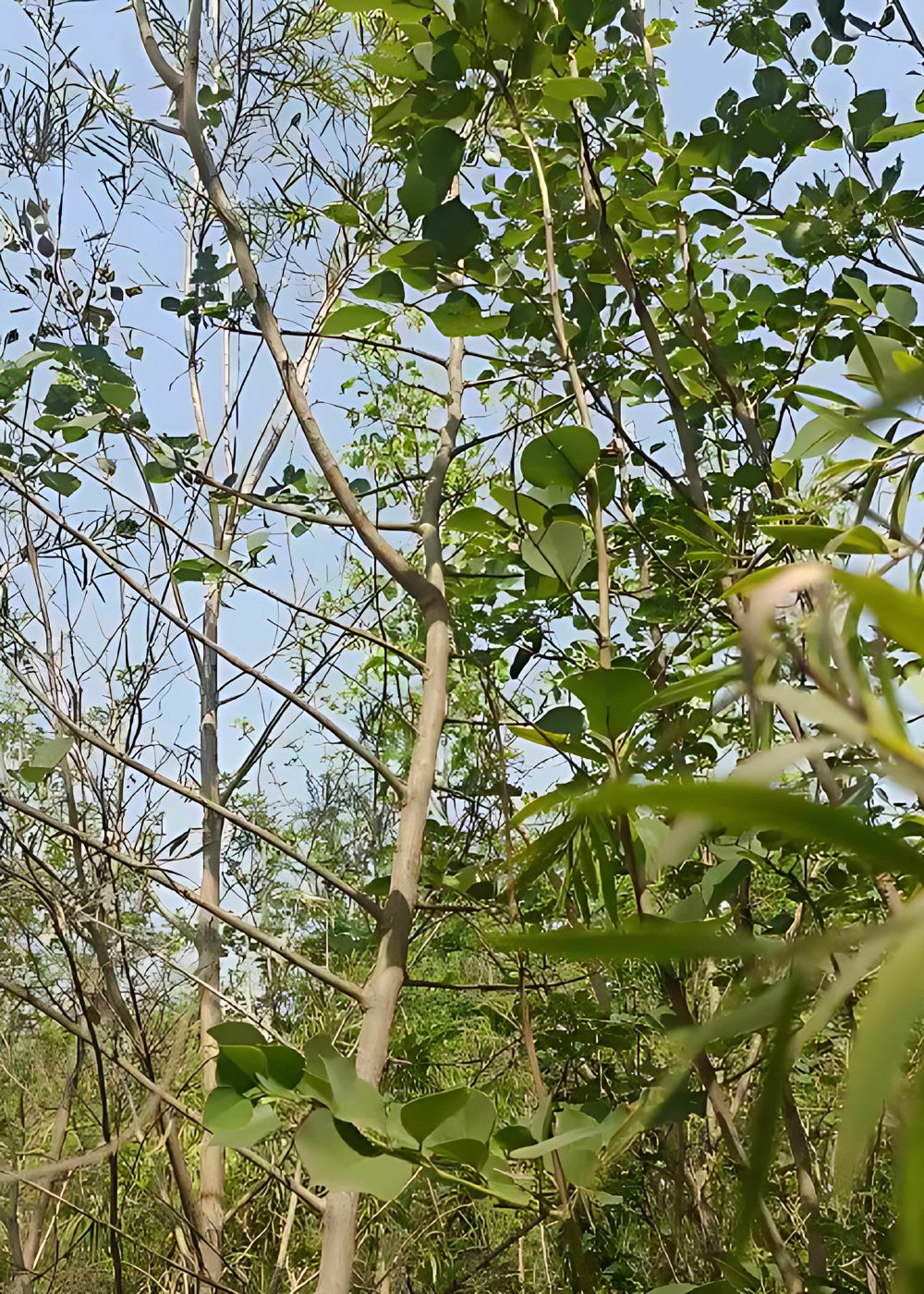 2874628