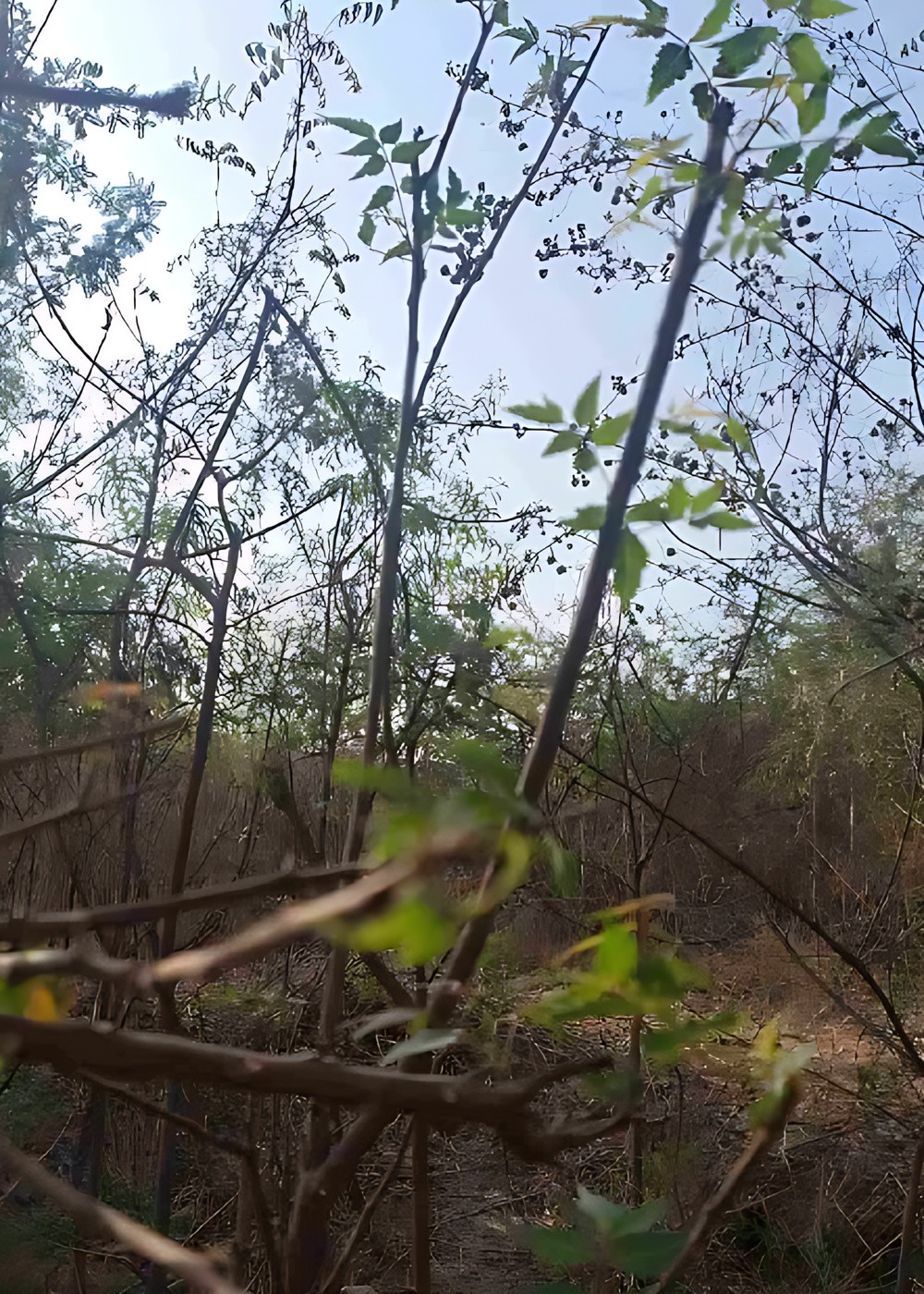 2874730