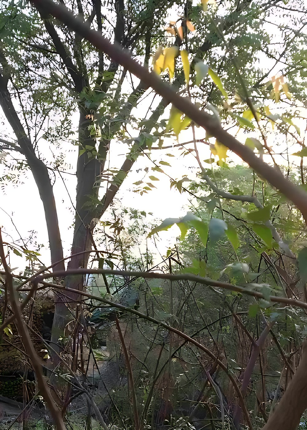 2874744