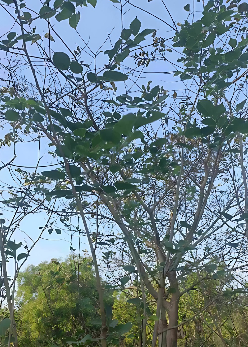 2874928