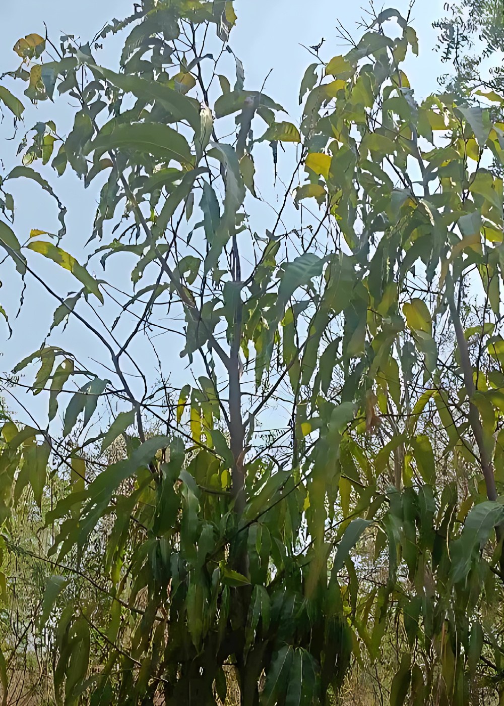 2875338